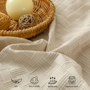 JELLYMONI Creamgrey Duvet Cover Queen Size - 3 Pieces Soft and Breathable Microfiber Knitted Jacquard Waffle Weave Striped Comforter Cover with 8 Corner Ties & Zipper Closure