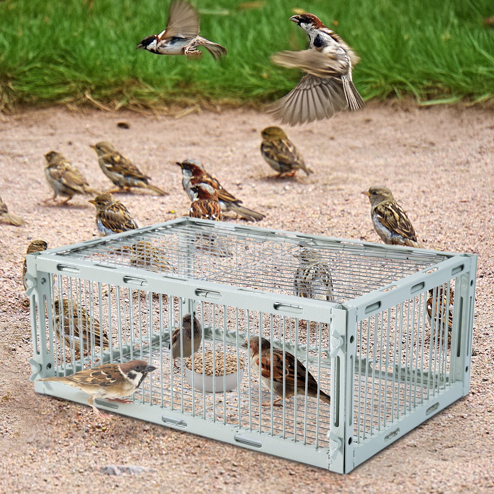 Bird Trap Cage with Escape-Proof,Bird Traps for Small Birds Live,Sparrow Trap,Portable,Easy Assembly and Unharmful.Made of Iron with Anti-Rust Paint A4