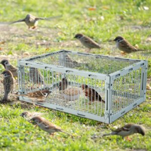 Bird Trap Cage with Escape-Proof,Bird Traps for Small Birds Live,Sparrow Trap,Portable,Easy Assembly and Unharmful.Made of Iron with Anti-Rust Paint A4