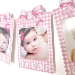 Pink Bow Photo Banner,First Birthday Decorations for Girl,Newborn to 12 Months Photo Banner,1st Birthday Milestone,First Year Photos,Baby Shower