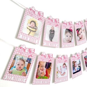 Pink Bow Photo Banner,First Birthday Decorations for Girl,Newborn to 12 Months Photo Banner,1st Birthday Milestone,First Year Photos,Baby Shower