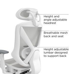 Union & Scale Flexfit Dexley Ergonomic Mesh Swivel Task Chair, Gray (UN61365)