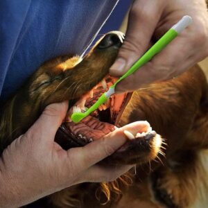 Hperu Pet Toothbrush Triple Multi Angle Dog Toothbrush for Pet Tartar Teeth Care Green PVC bathtub