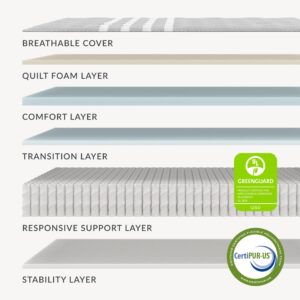 Leesa Queen Size Plus Hybrid Mattress, Medium Firm Firmness, Engineered for Plus Sized Sleepers, 13", CertiPUR-US Certified, 100-Night Trial