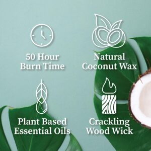 Hemlock Park Travel Inspired Passport Crackling Wood Wick Candle Handcrafted with Natural Plant-Based Coconut Wax (Big Sur | Mountain Mahogany, Sage, Redwood, Standard 7.2 oz)