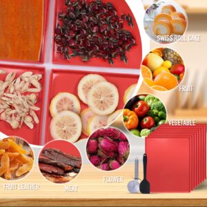 8PCS Silicone Dehydrator Trays for Fruit Leather 12 x 10 Inch Non-stick Dehydrator Mats with Edge for Fruit Vegetables Meat Herbs Liquid Crackers with Silicone Scraper and Cutter Wheel