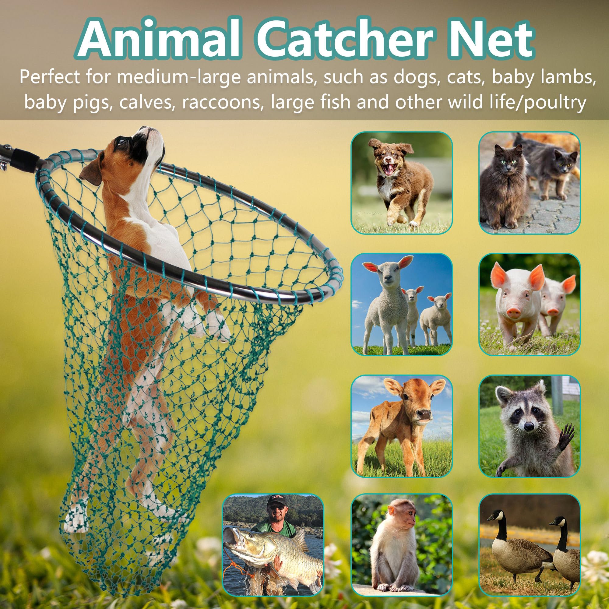 Wamlet Dog Catch Net Animal Control Net Poultry Catching Trap Tool Length Adjustable for Cat, Pigeon and Others (42~70" Handle with 22" Net Opening) (Stainless Steel, Natural)