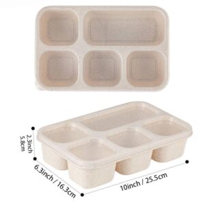 Lezuoey Adult Lunch Box, Snack Box, 4 Pack 5 Compartment Meal Prep Containers Reusable Wheat Straw Bento Box Lunchable Container Food Storage Prep Containers for School, Work and Travel