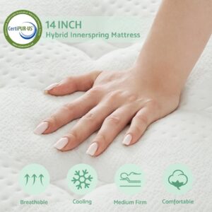 Full Mattress, 10 Inch Full Size Hybrid Mattress, Full Mattress in A Box, Memory Foam & Individually Pocket Spring for Pain Relief, Medium Firm Full Mattresses