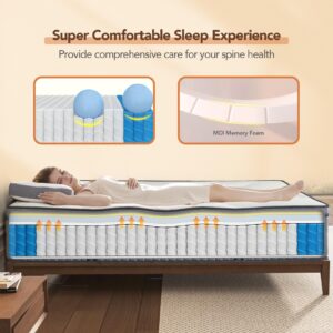 Queen Mattress, DIGLANT 14Inch Hybrid Mattress Soft Plush Supportive Memory Foam with Individual Pocket Springs Mattress for Pressure Relief, Queen Size Mattress in Box, CertiPUR-US Certified, 60"*80"