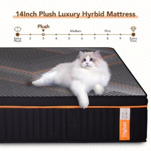 DIGLANT TwinXL Mattress, 14 Inch Plush Hybrid Mattress, Black Memory Foam with Individually Pocket Coils Mattress TwinXL Size in Box, Euro Top Mattress for Pressure Relief,Balanced Support, 39"*80"