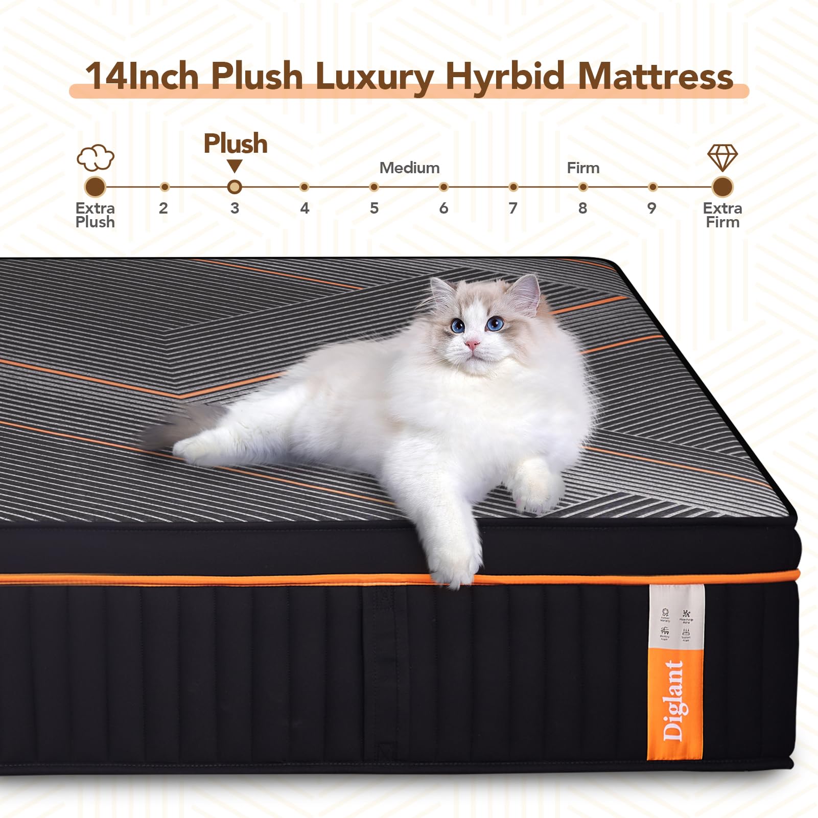 DIGLANT TwinXL Mattress, 14 Inch Plush Hybrid Mattress, Black Memory Foam with Individually Pocket Coils Mattress TwinXL Size in Box, Euro Top Mattress for Pressure Relief,Balanced Support, 39"*80"