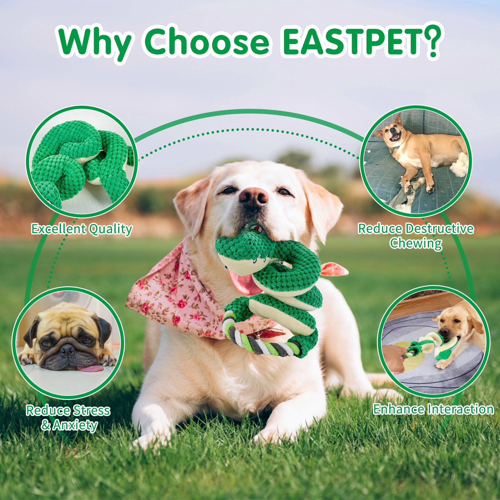 EASTPET Squeaky Dog Toys with Pull Rope,Large Dog Tug of War Toy,Medium/Large Breed,Toys for Dental Health