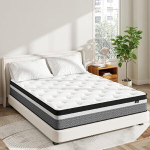 queen size mattress, 12 inch hybrid queen mattress in a box, memory foam & individually pocket spring for pain relief, medium firm queen mattresses