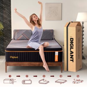 DIGLANT Full Mattress, 14 Inch Plush Hybrid Mattress, Black Memory Foam with Individually Pocket Coils Mattress Full Size in Box, Euro Top Mattress for Pressure Relief,Balanced Support, 54"*75"