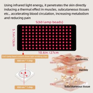 MANON ROSA Red Infrared Light Therapy Belt Pets: Portable Wearable Device for Tissue Repair Relieving Sciatica Joint Back Pain in Small Medium Large Dogs Cats (Small,60 Lamp Beads)