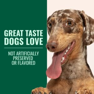 Green Lipped Mussel & Gut Health for Dogs of All Ages & Breeds