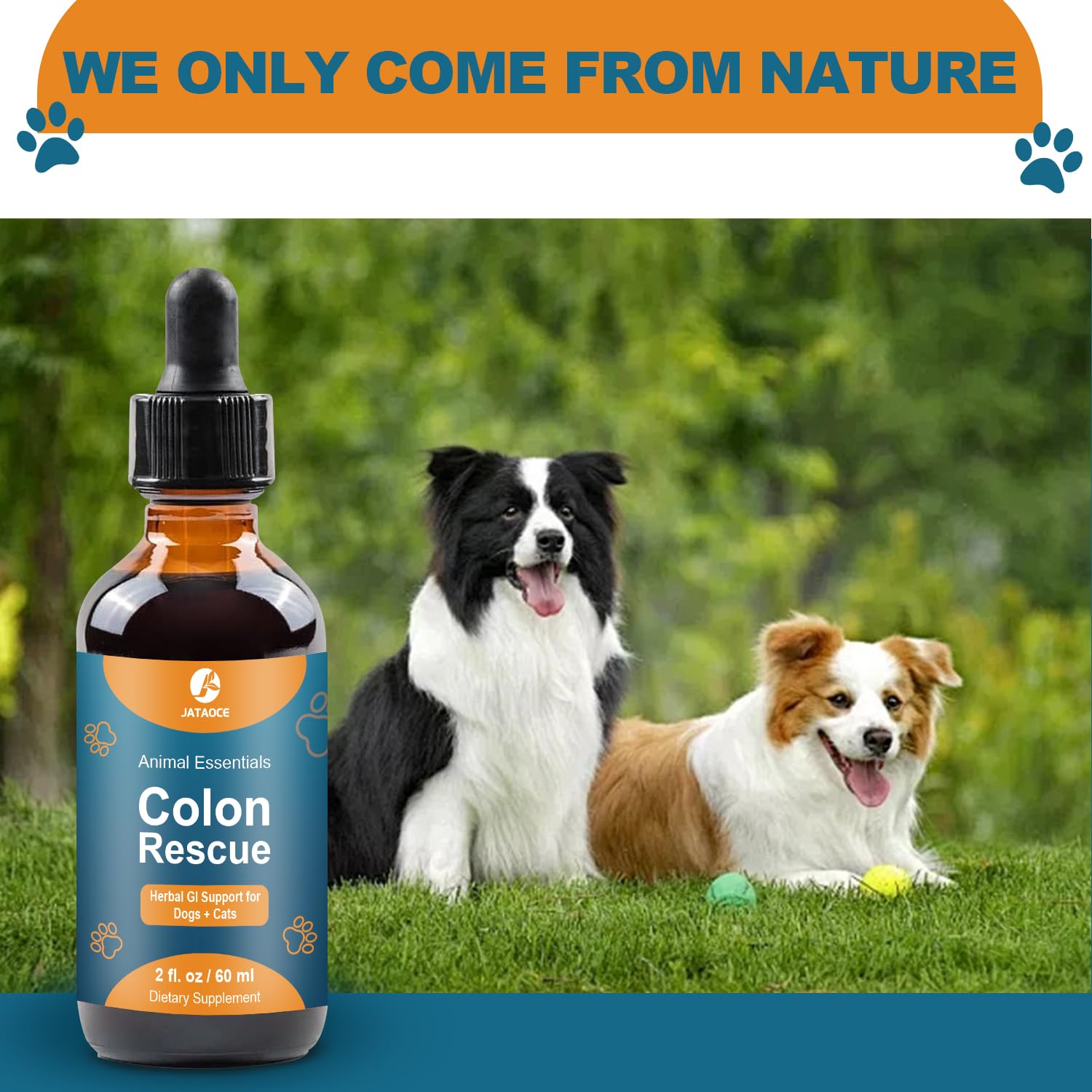 Colon Rescue Herbal Support for Dogs & Cats,100% Organic Grade Herbs, Healthy Gastrointestinal Tract,Constipation & Diarrhea and Gas Home Remedy,Digestive Gut Flora Herbal Formula for Dogs & Cats