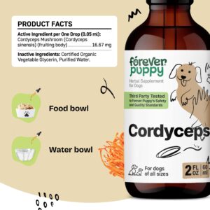 Cordyceps Tincture for Dogs - Mushroom Energy Supplements - Cordyceps Sinensis Liquid Drops for Kidney Detox & Cleanse - Dog Food Supplements for Pet Energy Support & Kidney Wellness - 2 oz