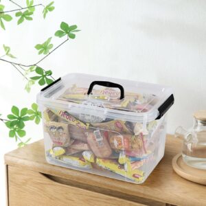 Utiao 4-Pack 10 L Plastic Latching Storage Bin, Clear Storage Box Bin with Handle