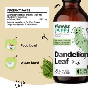 Dandelion Leaf Drops for Dogs - Kidney Health Supplement for Large, Medium & Small Dogs - Kidney Cleanse Detox Drops w/Dandelion Leaves - Dog Food Supplements for Natural Pet Kidney Support - 4 oz