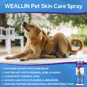 WEALLIN Hot Spot Itch Relief Spray for Dogs & Cats, Hot Spot Treatment for Dogs Itch Relief Spray for Dogs, Pet Treatment Spray for Itchy, Irritated Skin, Allergy, Rashes, Wound Care(8.12 Fl Oz)