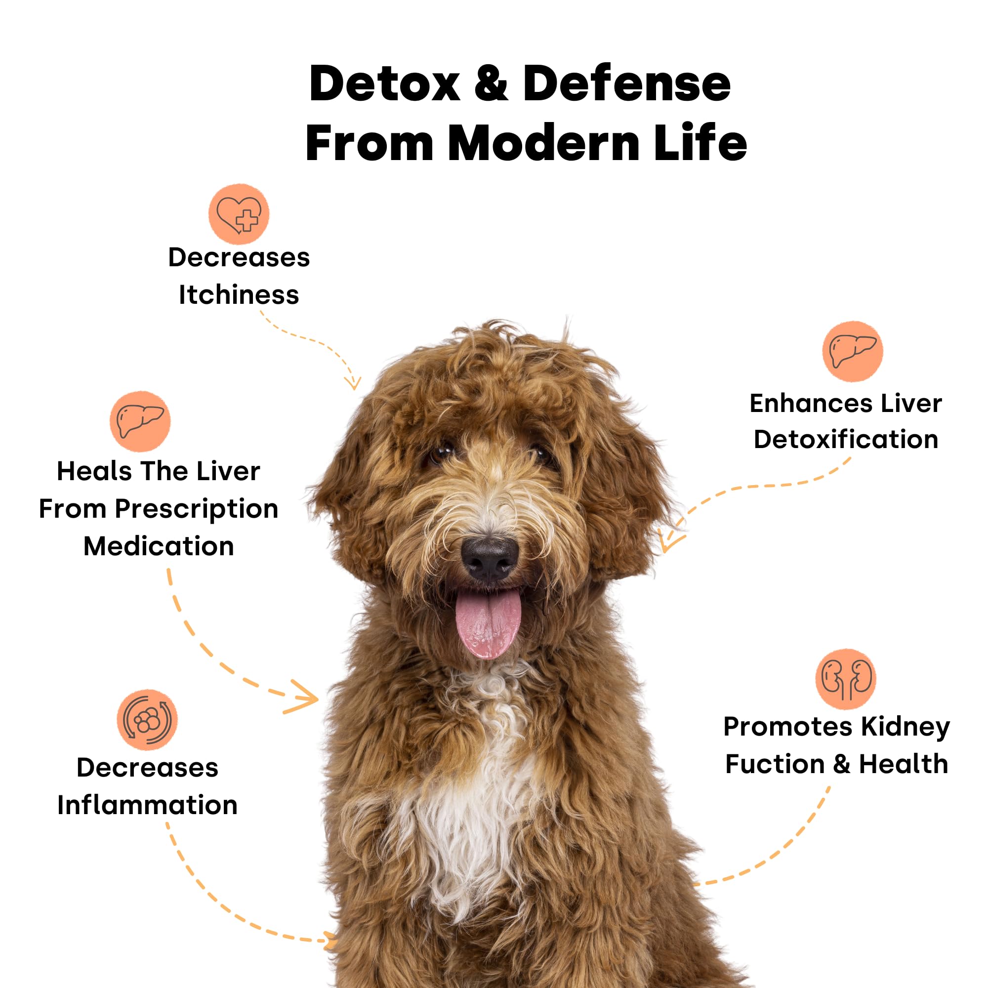 Kayode Dog Detox - Dog Liver Supplement & Immune Defense. with Milk Thistle for Dogs. Help Detoxify Liver, Reduce Inflammation & Improve Gut Health. 1 BIl CFU Probiotics, Omega Oil, & Bee Pollen.