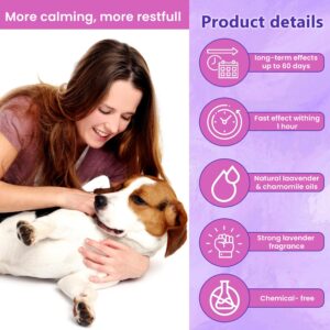 BKRMART Calming Collar for Dogs Relief Anxiety Stress Separation Anxiety Relief for Dogs Bad Behavior 25 Inches Size Flexible Adjustable Pheromones Calm, 1 Pack