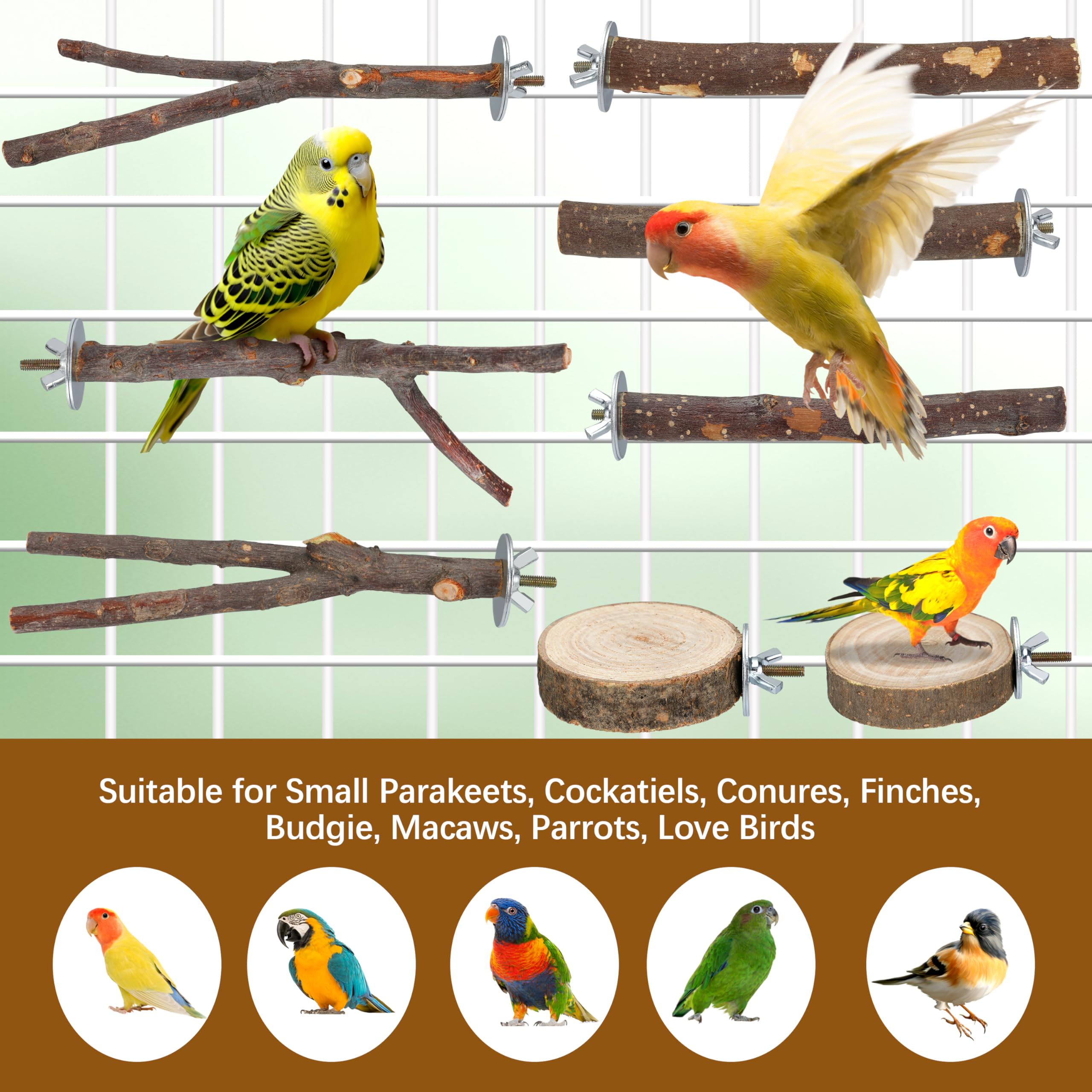 KaKaPops Bird Perches 9 Pack Parakeet Toys Wooden Parrot Stand Branch, Bird Cage Accessories with Bird Feeding Cup, Bird Toys for Cockatiels Small Birds