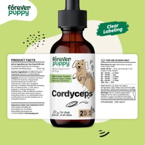 Cordyceps Tincture for Dogs - Mushroom Energy Supplements - Cordyceps Sinensis Liquid Drops for Kidney Detox & Cleanse - Dog Food Supplements for Pet Energy Support & Kidney Wellness - 2 oz