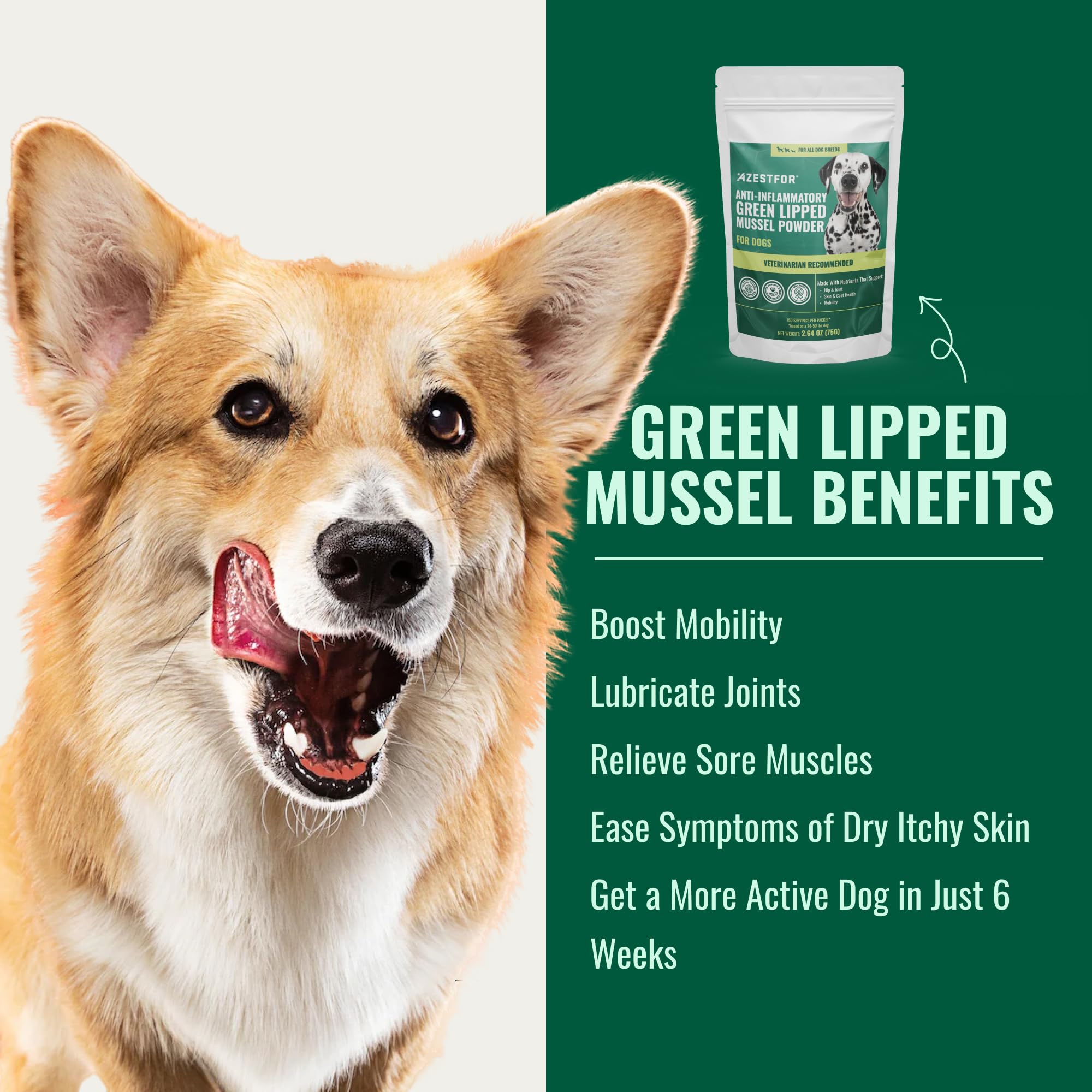 Green Lipped Mussel & Gut Health for Dogs of All Ages & Breeds