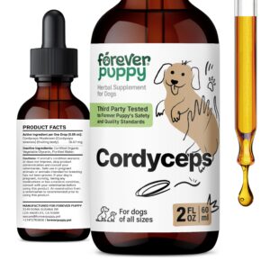 cordyceps tincture for dogs - mushroom energy supplements - cordyceps sinensis liquid drops for kidney detox & cleanse - dog food supplements for pet energy support & kidney wellness - 2 oz