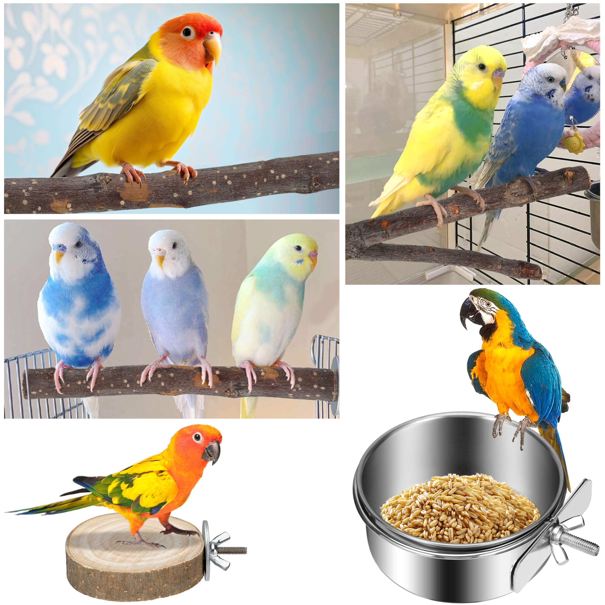 KaKaPops Bird Perches 9 Pack Parakeet Toys Wooden Parrot Stand Branch, Bird Cage Accessories with Bird Feeding Cup, Bird Toys for Cockatiels Small Birds