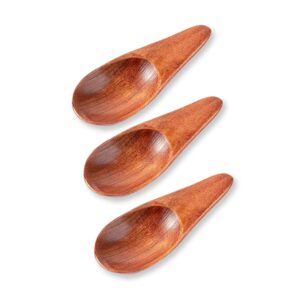 welangbn 3 pieces mini wooden spoons, small salt spoon with short handle mini wood scoop for spice jars tea coffee milk powder, 2.76 inch, brown