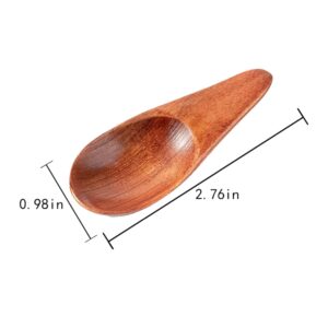 WELANGBN 3 Pieces Mini Wooden Spoons, Small Salt Spoon with Short Handle Mini Wood Scoop for Spice Jars Tea Coffee Milk Powder, 2.76 inch, Brown