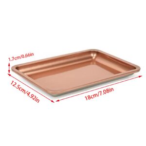 HISYI Stainless Steel Cosmetic Storage Tray Nail Art Equipment Plate Doctor Surgical Tray Nails Art Dish Tools Accessories Stainless Steel Jewelry Tray, Black