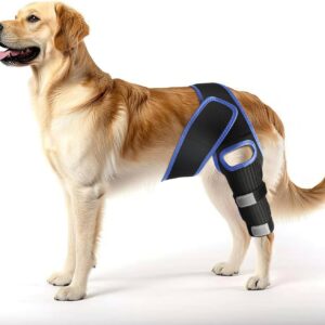 MASBRILL Dog Knee Brace, Adjustable Dog Brace Protector Pads for Back Leg,ACL Hind Leg Brace for Dog Cruciate Ligament Care Knee Brace for Dogs Rear Leg, Joint Pain and Muscle Sore