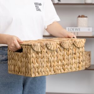 StorageWorks Scalloped Edge Wicker Basket with lid, Wicker Storage Basket with Built-in Handles, Handwoven Basket for Décor, Natural Water Hyacinth Wicker Basket for Shelves, Nursery Room