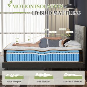 Full Mattress, 14 Inch Hybrid Mattress with Gel Memory Foam, Fiberglass Free Medium Firm Deluxe Mattress in a Box, Individual Pocket Spring-Motion Isolation-Edge Support, 100 Nights Trial, CertiPUR-US