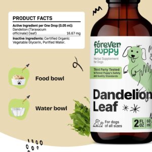 Dandelion Leaf Tincture for Dogs - Kidney Supplements for Dogs of All Breeds & Sizes - Dandelion Drops for Dogs - Herbal Dog Kidney Supplement - Vegan Kidney and Bladder Support Vitamins - 2 oz