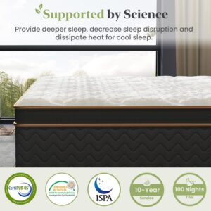 Full Mattress, 14 Inch Hybrid Mattress with Gel Memory Foam, Fiberglass Free Medium Firm Deluxe Mattress in a Box, Individual Pocket Spring-Motion Isolation-Edge Support, 100 Nights Trial, CertiPUR-US