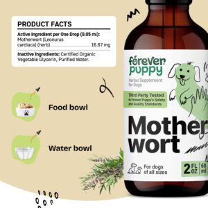 Motherwort Drops for Dogs - Heart Support for Dogs - Calming Support Supplement w/Motherwort Herb - Liquid Dog Vitamins and Supplements for Health, Composure & Relaxation - Herbal Dog Care - 2 oz