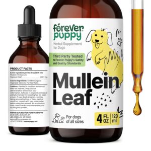 mullein leaf drops for dogs - natural lung support for easy breathing - mullein respiratory supplements for dogs - liquid dog vitamins and supplements for lungs - herbal dog respiratory support - 4 oz