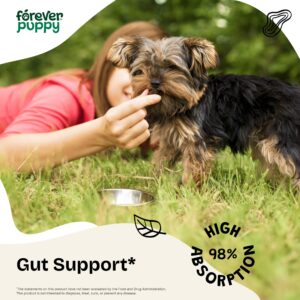 Slippery Elm Drops for Dogs - Gut Health Supplement w/Slippery Elm Bark - Soluble Fiber Digestive Drops for Dogs - Liquid Dog Vitamins and Supplements for Pet's Happy Tummy - 4 oz