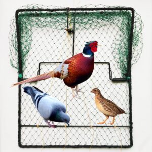 dsqstmr pigeon bird trap 2 pack trapping hunting quail cage sparrow spring starling catching net traps for trapping