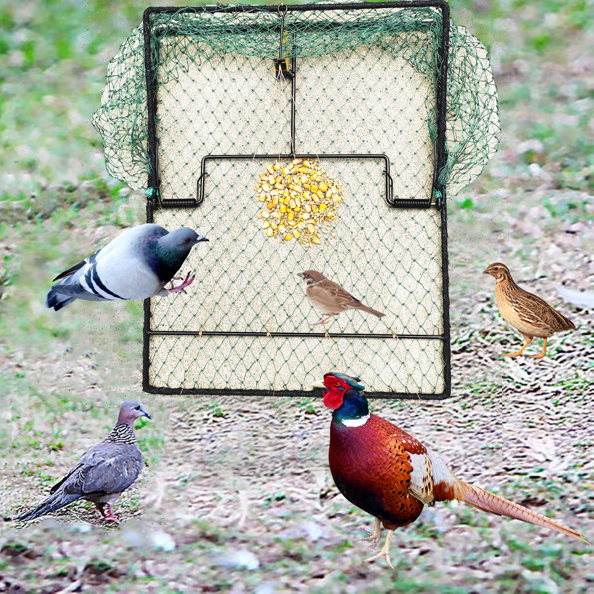 DSQSTMR Pigeon Bird Trap 2 Pack Trapping Hunting Quail Cage Sparrow Spring Starling Catching Net Traps for Trapping