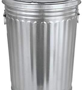 Plexon Brush Pre-Galvanized Trash Can with Lid, Round, Steel, 20Gal, Gray