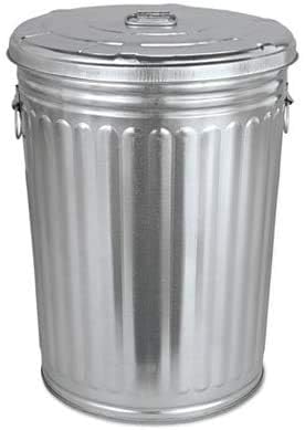 Plexon Brush Pre-Galvanized Trash Can with Lid, Round, Steel, 20Gal, Gray