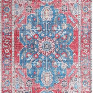 WAYYE Area Rug Non-Slip Printed Washable Low-Pile Rug for Indoor Kitchen Bathroom Bedroom Living Room Nursery (Red and Blue, 2'x3')