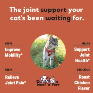 Glucosamine for Cats - Cat Glucosamine - Glucosamine for Cats Liquid - Cat Joint Supplement - Joint Supplement for Cats - Cat Joint Pain Relief - Joint Support for Cats - 1 fl oz - Chicken Flavor